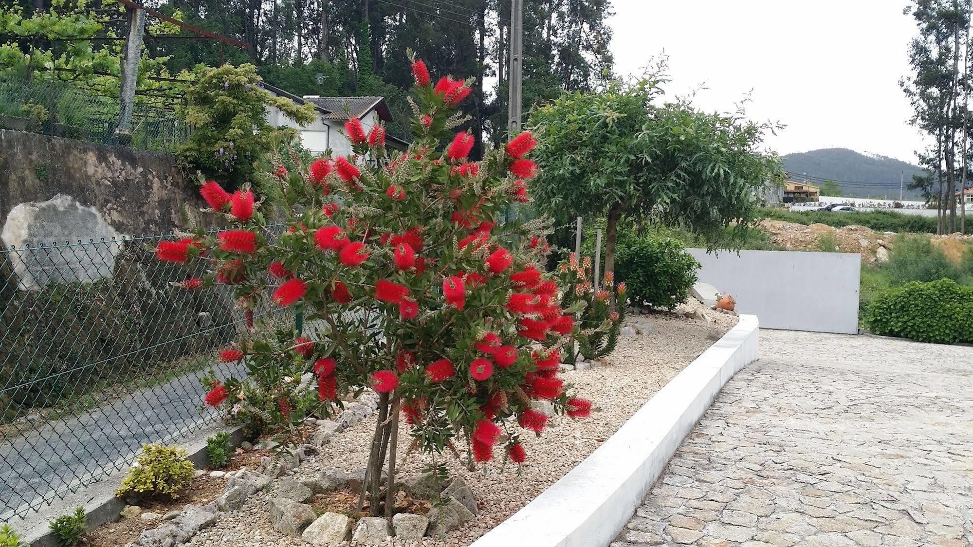 Вилла Casa Do Porto Carreiro Оливейра-ди-Аземейш Экстерьер фото